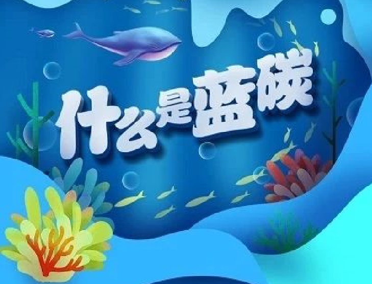 圖解｜你知道“藍(lán)碳”是什么嗎？