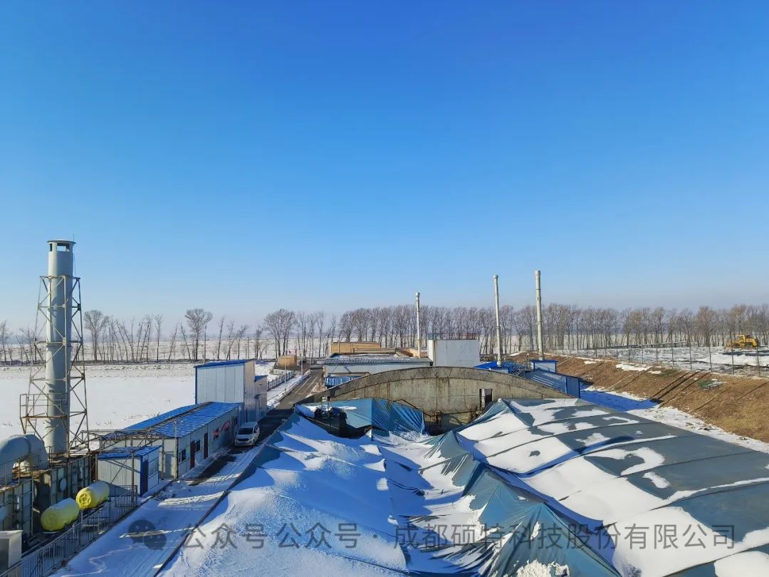 【喜報】風(fēng)起云涌金龍至，勢不可擋開門紅！